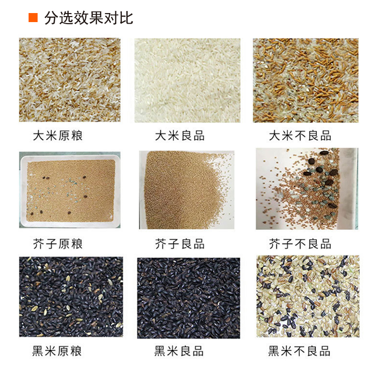 小型鲜米色选机(图4)